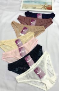 Quần Lót Thun Voan Bông ép 028 4 size (50-70Kg) Quần Chip Nữ chất voan thun co dãn thoải mái mềm mại thoáng mát nhiều màu đẹp