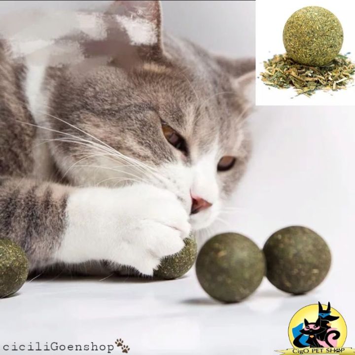 catnip ball murni catmint mainan kucing cat toys katnip catmint
