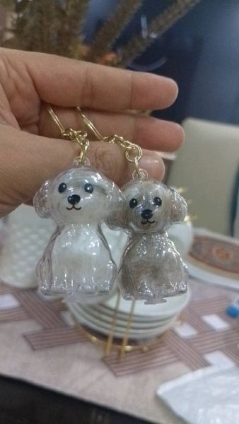 Buyer review video 2
