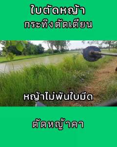 ใบมีดตัดหญ้ากระทิงตัดเตียน ชุดเล็ก ของแท้