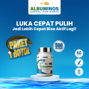 ALBUMINOS Kapsul Ikan Gabus Sari Kutuk Channa Striata Untuk Penyembuhan Luka Pasca Operasi Lebih Cepat Kering