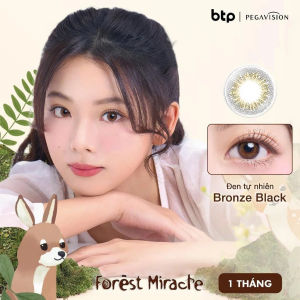 [Mua 1 tặng 1] Lens 0.00 có màu 1 tháng PEGAVISION Forest Miracle – Bronze Black – màu nâu đen | PEGAVISION