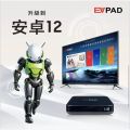 ORIGINAL SET EVPAD 11P NEW EVPADS 11P EVPAD 11P 4GB 64GB - Price valid for OCT 2025 Only. 