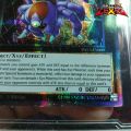 Thẻ bài yugioh Yuma Number 35 Ravenous Tarantula Tham Xác Đại Hắc Chu TẶNG Sleeves bảo vệ 1458 D7 13 89. 