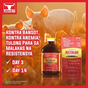 Univet Jectran Premium Fo.rti.fie.d with Z.i.nc 100ml iron dextran for pigs iron dextran 100ml jectran premium