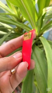 Kim bài Quan âm bình an