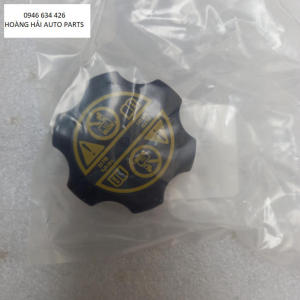 Nắp bình nước phụ Daewoo Lacetti CDX 2009-2011. Mã 13256823