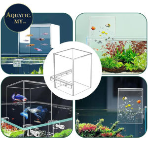 Negative Pressure Fish Tank Fish Elevator (NEW)/ 鱼缸负压缸 / Tangki Ikan Tekanan Negative Akuarium