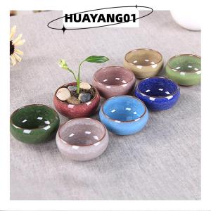 HUAYANG01 [2023 new HOT FASHION] lazlook น่ารักน้ำแข็ง-รอยแตกเคลือบดอกไม้เซรามิกฉ่ำชาวไร่มินิพืชหม้อตกแต่งบ้าน