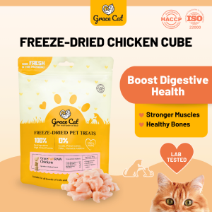Grace Cat [Freeze Dried Chicken Cube] Raw Cat Food Raw Meat (Wet / Dry Pet Food) Premium Cat / Kitten / Senior Food (Treats / Snacks / Supplement/ Healthy Pet Food) Makanan Kucing (Basah/ Kering) Snek Kucing - Ayam  宠物冻干零食猫狗 - 鸡肉