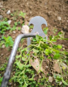 Alat Pencabut Rumput Akar Tanaman Liar Manual TerraHand Weeder