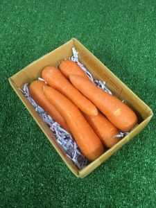 Organic คั้นน้ำมีรับรองปลอดสาร แครอทแห้ง ราคาสามารถปลอดภัย แครอท นอก/ออสเตรเลีย[Organic👍]