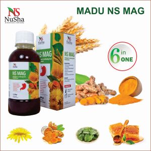 Obat Herbal Asam Lambung NS MAG Madu NS MAG ( NUSHA ) Obat Asam Lambung GERD Mag atau Maag Saluran Pencernaan - 280 gr