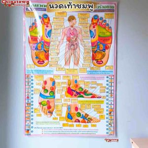 โปสเตอร์ กดจุดเท้าชมพู Poster นวด นวดแผนไทย ฤษีดัดตน กดจุดรักษาโรค การนวดกดจุด ลมปราณ ไม้กดจุด กัวซา นวดแผนโบราณ