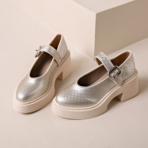 French Platform Mary Jane Small Leather Shoes Womens New Versatile One-line Buckle Block Heel Loafers