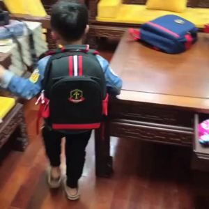 FCmilu Primary School Students School Bag 1~6 Grade Mens and Womens Portable Burden Alation Korean-Style Schoolbag Childrens Backpack