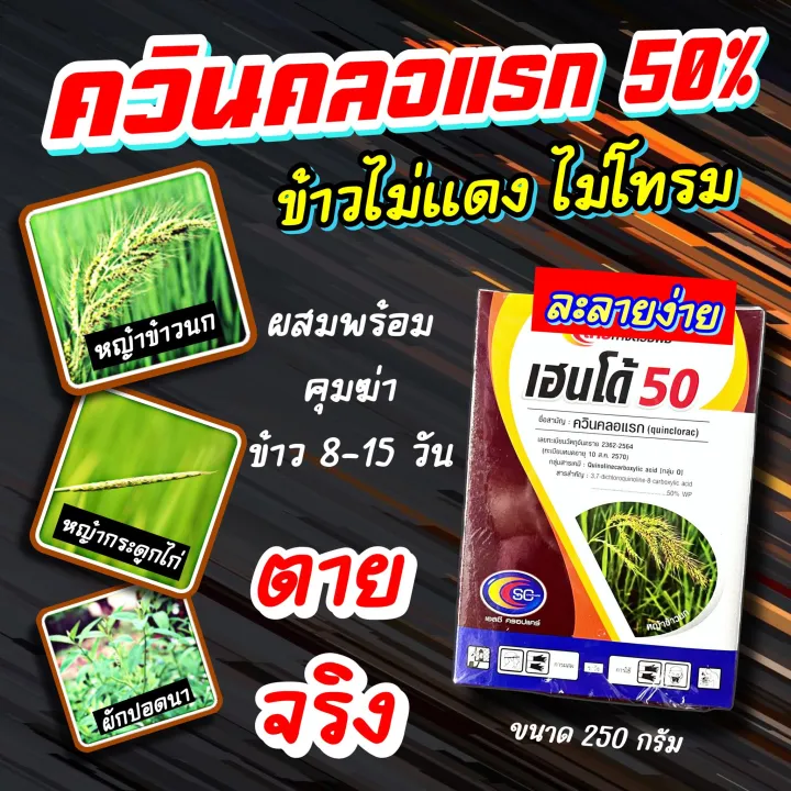 ควินคลอแรก 50% กำจัดหญ้าข้าวนก ลิเก ข้าวไม่โทรม 250 กรัม