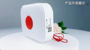 LZD Home Community Nursing Home Institution Emergency Help Call Button Wireless SOS One-Click Alarm