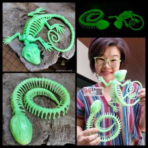 (1 ตัว) เรืองแสง โครงกระดูกสัตว์ 3D สีเขียว พลาสติก โมเดล โครงกระดูก กระดูก สัตว์ปลอม หัวกะโหลก ของเล่น ฮาโลวีน prop halloween model animal m24 shop