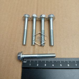 BAUT TOPI KUNCI PAS 10 PANJANG 45CM M6X45 45CM 45 CM PUTIH 45MM 45 MM BAUD FLANGE BOLT M6 X 45 BAUT 6X45 6 X 45 PITCH DRAT 1.0