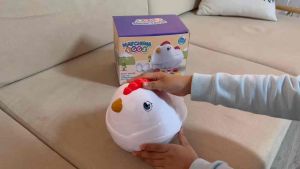 Mama Hen Egg Matching Toy - 12 Pieces