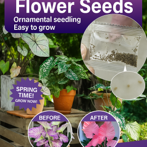 Colorful Leaf Taro Gardening for Garden Enthusiasts and Beginners Multi-Color Options Diverse Varieties Versatile Choices