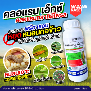 คลอแรน เอ็กซ์ 1 ลิตร (คลอแรนทรานิลิโพรล) สารเดียวกับพรีวาธอนกับดูปองค์ ป้องกันและกำจัดหนอนกอข้าว หนอนเจาะในอ้อยและข้าวโพด เพลี้ยไฟ ไรแดง