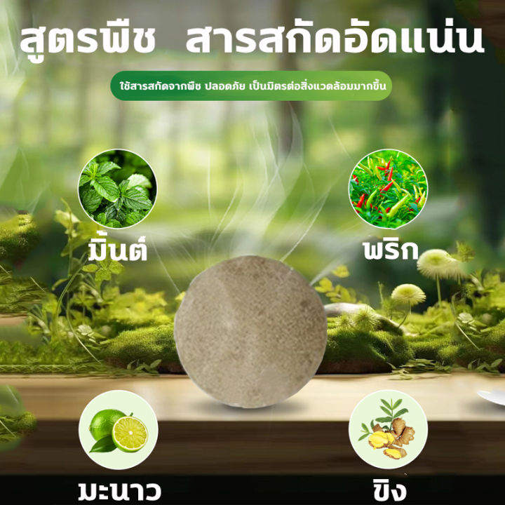 🐀หนูได้กลิ่นจะหนีไป👍ลูกเหม็น ไล่หนู ยาไล่หนู ไล่หนูถาวร ก้อนไล่หนูถาวร ...