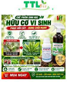 Phục hồi cây yếu Phân bón hữu cơ biogreen cung cấp dinh dưỡng trung đa vi lượng tăng trưởng cho cây cảnh hoa lan hoa hồng sen đá rau màu cây trong nhà cây ăn quả mai vàng