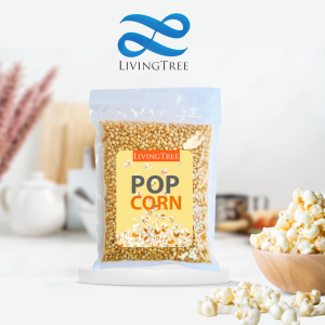 Jagung Popcorn Mentah 1 KG / Biji Jagung Popcorn Mentah Premium