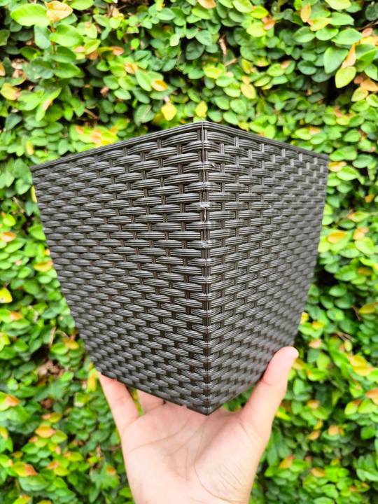 Classic Black Rattan Pot (6 inches x 6 inches) Best for Indoor Outdoor ...