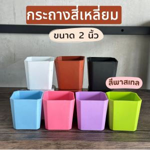 กระถางสี่เหลี่ยม 2 นิ้ว กระถางสีพาสเทล กระถาง2นิ้ว กระถางทรงสี่เหลี่ยม
