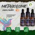 METABOLISME FIGHTER DOPING SOGON DOSIS TINGGI METABOLISME BURUNG ORIGINAL. 