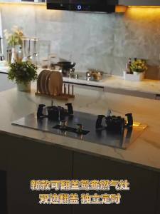 Cooking Stove Gas Cooker Stove  Hob Stove Burner Gas Cooker  Cooking Stove Gas Double Burner Clamshell Desktop Embedded Household Furnace 燃气灶