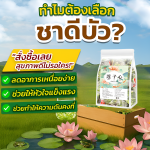 ชาหัวใจดอกบัวสดคัดสรร ชาหัวใจดอกบัวพรีเมี่ยมแท้ ชาดีบัวพรีเมียม ชาดีบัวแท้ ชาดีบัวอบแห้ง ความดัน ชาเพื่อสุขภาพ ลดความร้อน ชงเป็นถุงพกพา Lotus Heart Tea