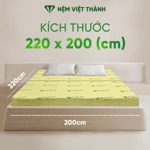 (Giao Hỏa Tốc HCM) Nệm Foam Gấp 2 VITA Việt Thành Cao Cấp Thành Phần Cao Su Kết Hợp Foam Cao Cấp Đàn Hồi Nâng Đỡ Êm Ái Gấp 2 Tiện Lợi.