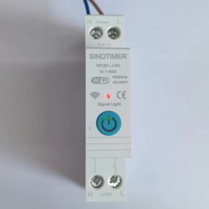 Top Vendor New Hot 1P+N WIFI Smart Time Switch Energy Meter KWH Monitoring Timer Relay TUYA Smartlife Protection 63A