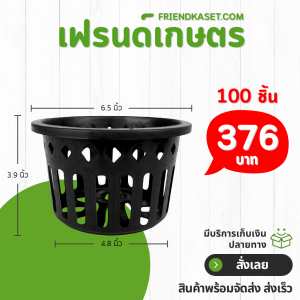 กระถาง กระถางกล้วยไม้ กระถางแขวน กลม 6 นิ้ว สีดำ 100 ใบ ชิ้น อัน