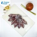 Cumi ck (Squid) 500 Gram / Segar / Beku / Vacumm Pack. 