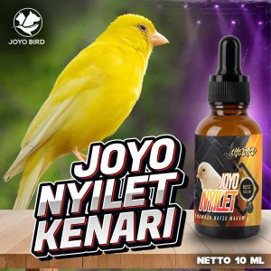 OBAT BURUNG NYILET | OBAT BURUNG KURUS | PENAMBAH NAFSU MAKAN KHUSUS KENARI | NYILET KENARI