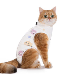 Cat recovery suit post-surgery pet garment breathable stretchy cotton fabric anti scratch sulit matibay spay neuter recovery
