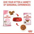 Royal Canin Kitten (10kg) Dry Cat Food - Feline Health Nutrition. 