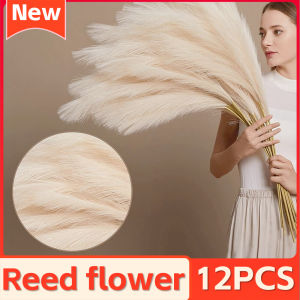 12PCS/1pack Artificial Pampas Grass Fake Reed Plants Bouquet Wedding DIY Vase Decoration Tail Grass dried