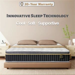 Silent independent spring sponge mattress compressed roll latex memory foam mattress hotel home bedroom student dormitory rental house special mattress