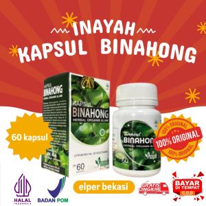 KAPSUL DAUN BINAHONG 60 Kapsul Inayah kotak BPOM