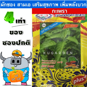 AAA 🇹🇭 ผักซอง 3A J016# กะเพรา  ผักซองตั้ง ผักซองจัมโบ้  เมล็ดพันธุ์ผัก  AAA สามเอ ผักราคาถูก เพียงกดเพิ่มสินค้าลงรถเข็น