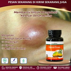 Kapsul Gamat Emas - Obat Benjolan Kelenjar Getah Bening Di Leher Penghilang Benjolan
