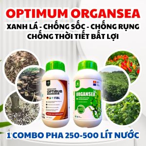 COMBO PHÂN BÓN HỮU CƠ CAO CẤP: OPTIMUM ĐỨC + ORGANSEA TÂY BAN NHA – KÍCH RỄ CỰC MẠNH – XANH CÂY NHANH – CHỐNG SỐC – RA HOA – ĐẬU TRÁI!