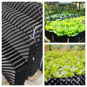 50 mét Bầu ươm cây V6 hàng tiết kiệm economy tiện lợi dễ sử dụng giá rẻ tối ưu được chi phí Minh Hân Garden