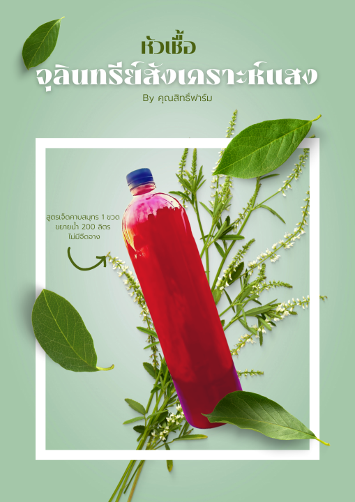 หัวเชื้อจุลินทรีย์สังเคราะห์แสง ขนาด 1.5 ลิตร สำหรับขยาย